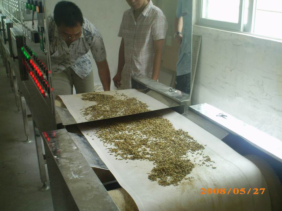 微波昆蟲烘干膨化設(shè)備